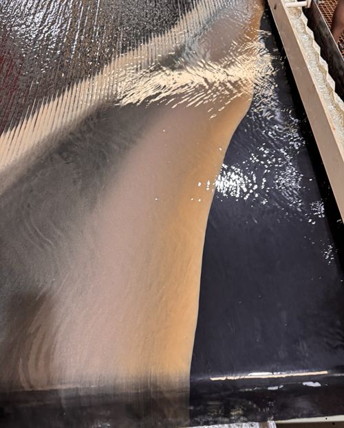 ����ҡ��ѡ��ע������